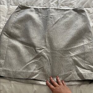 NWOT Ann Taylor Elegant Gray Women's Skirt